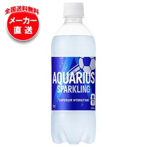 アクエリアス コカコーラ パウダー 1L用 48g×30袋入｜ 送料別 : 味園