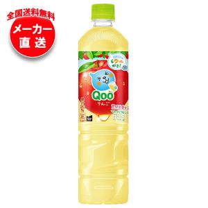 友桝飲料 指宿温泉サイダー 330ml瓶×24本入｜ 送料別 : 味園サポート