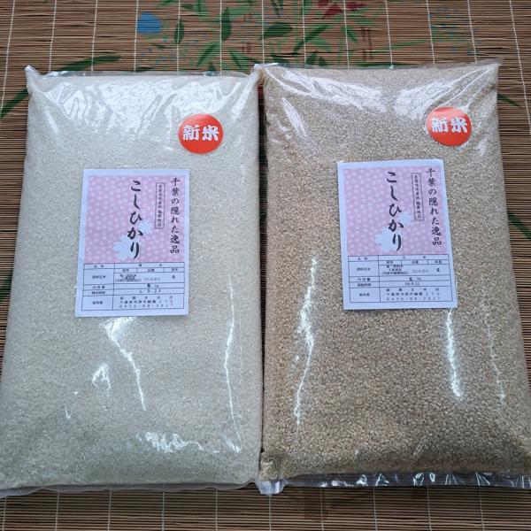 【新米】 ＜千葉の隠れた逸品＞鶴舞地区コシヒカリ 10kg （白米5kgと玄米5kgのセット） 令和...