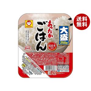 東洋水産 マルちゃん あったかごはん大盛 250g 20個 (10個入×2