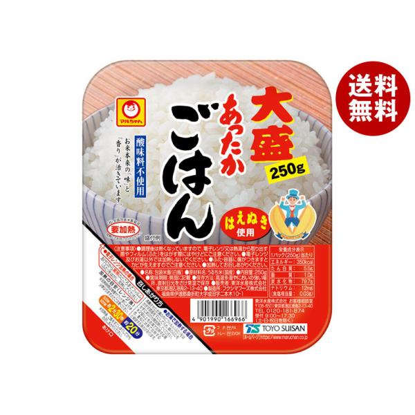 東洋水産 あったかごはん 大盛 250g×20(10×2)個入×(2ケース)｜ 送料無料