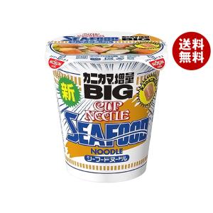 カップヌードル 日清食品 ビッグ 101g×12個入｜ 送料無料 : MISONOYA