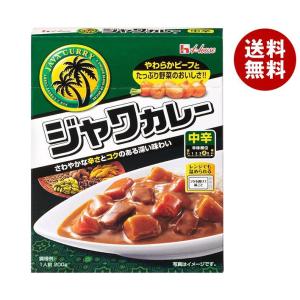 ハウス食品 レトルトジャワカレー 中辛 200g×30個入｜ 送料無料｜misonoya