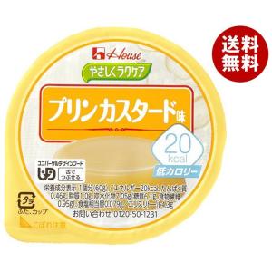 ハウス食品 やさしくラクケア 20kcal プリンカスタード味 60g×48個入｜ 送料無料｜misonoya