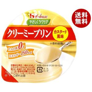 ハウス食品 やさしくラクケア クリーミープリン カスタード風味 63g×48個入｜ 送料無料｜misonoya