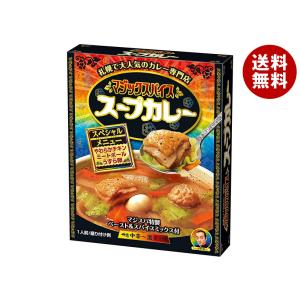 明治 マジックスパイス スープカレー スペシャルメニュー 307g×20個入｜ 送料無料 カレー レトルトカレー スープカレー レトルト｜misonoya