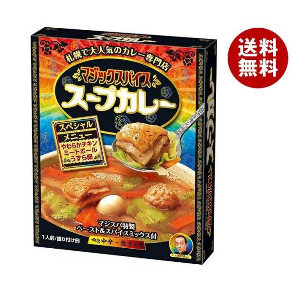 明治 マジックスパイス スープカレー スペシャルメニュー 307g×20個入×(2ケース)｜ 送料無...