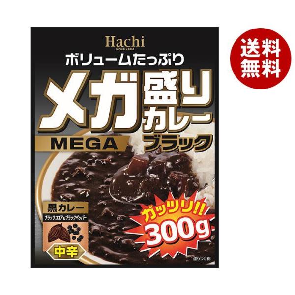 ハチ食品 メガ盛りカレー ブラック 中辛 300g×20(10×2)個入×(2ケース)｜ 送料無料