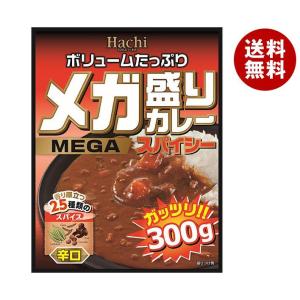 ハチ食品 メガ盛りカレー スパイシー 辛口 300g×20(10×2)個入×(2ケース)｜ 送料無料｜misonoya