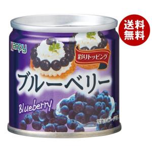 カンピー ブルーべリー 85g缶×24個入×(2ケース)｜ 送料無料｜misonoya