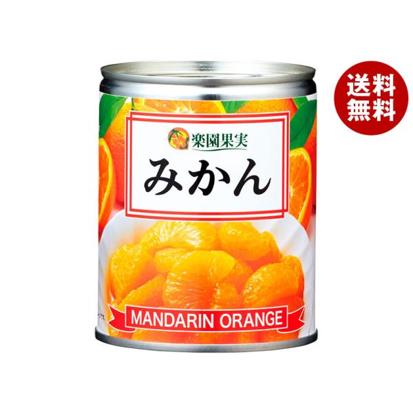 楽園果実 みかん 350g×24個入×(2ケース)｜ 送料無料