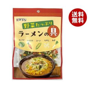 カンピー 野菜たっぷりラーメンの具(カレンダー) 40g×30個入×(2ケース)｜ 送料無料｜misonoya