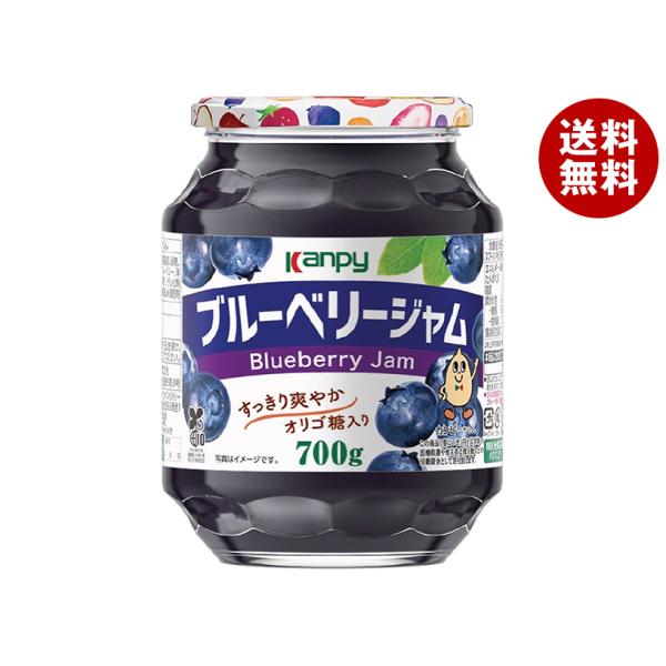 カンピー ブルーベリージャム 700g瓶×6個入×(2ケース)｜ 送料無料