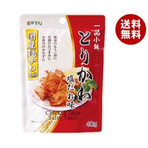 カンピー 国産 とりかわ 塩だれ味 40g×10袋入