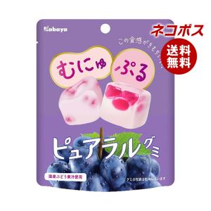 グミ キャンディ お菓子 Uha味覚糖 コロロ グレープ 48g 1個 酒のビッグボス 通販 Paypayモール