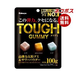カバヤ食品　タフグミ　60袋　エナジー　レモンラッシュ　グレーピーパンチ Kabaya タフグミ レモンラッシュ 100g×6袋 カバヤ食品 ハードグミ 賞味