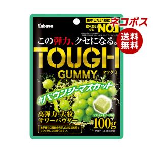 Kabaya カバヤ タフグミ PRO カフェイン ジンジャーレモン 100g×8個
