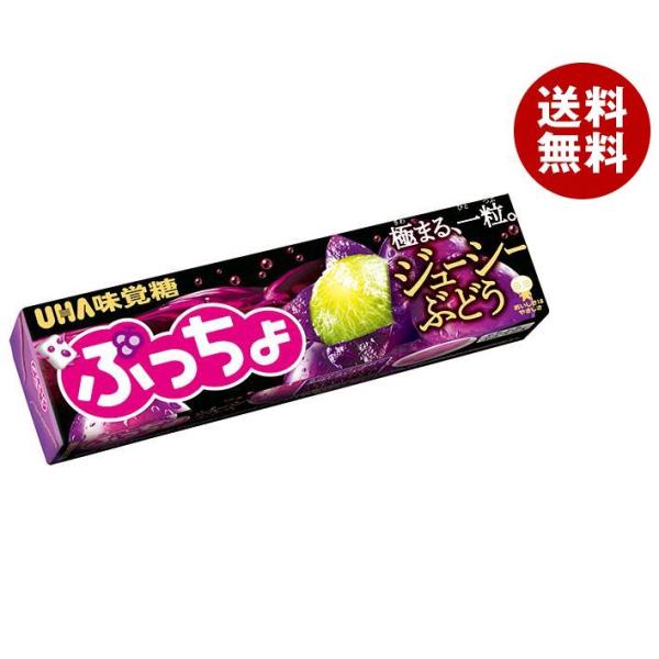 UHA味覚糖 ぷっちょスティック ジューシーぶどう 10粒×10個入｜ 送料無料