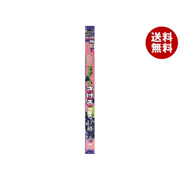 UHA味覚糖 ながーいさけるグミ 巨峰 1枚×10袋入｜ 送料無料