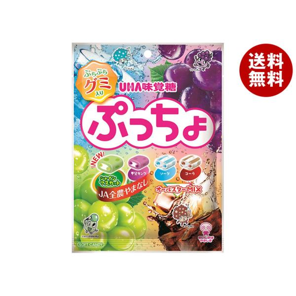 UHA味覚糖 ぷっちょ袋 4種アソート 88g×6個入｜ 送料無料
