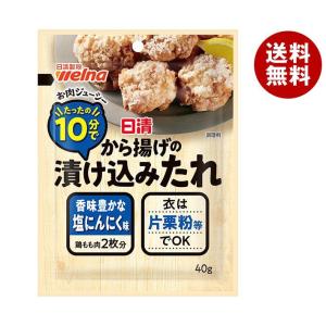 日清ウェルナ 日清 から揚げの漬け込みたれ 塩にんにく味 40g×10袋入｜ 送料無料｜misonoya