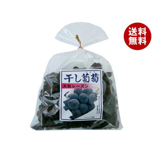 ナガトク 干し葡萄 大粒レーズン 370g×5袋入×(2ケース)｜ 送料無料