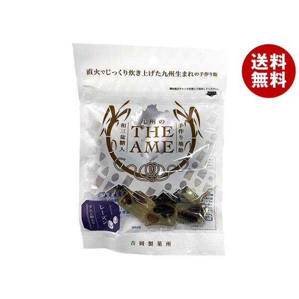 吉岡製菓所 THE AME レーズン 80g×10袋入 メーカー 問屋直送｜ 送料無料