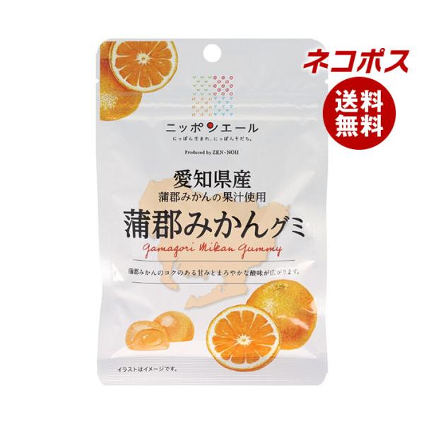 ネコポス JA全農 ニッポンエール 愛知県産蒲郡みかん グミ 40g×10袋入｜ 全国送料無料