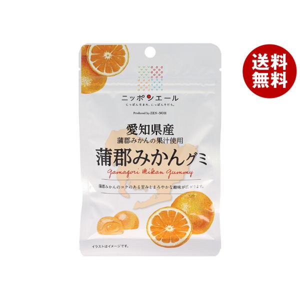 JA全農 ニッポンエール 愛知県産蒲郡みかん グミ 40g×10袋入｜ 送料無料
