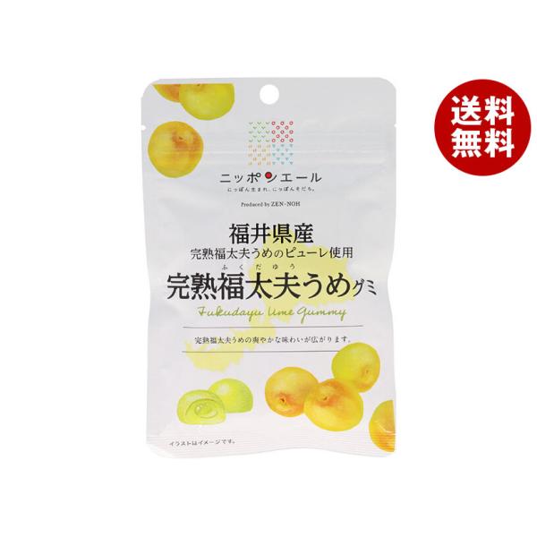 JA全農 ニッポンエール 福井県産完熟福太夫梅 グミ 40g×10袋入｜ 送料無料