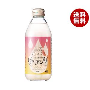 JAわかやま 生姜丸しぼり ジンジャーエール 250ml瓶×24本入×(2ケース)｜ 送料無料 炭酸 スパークリング ソーダ  生姜丸しぼり  新生姜 ビタミンC｜misonoya