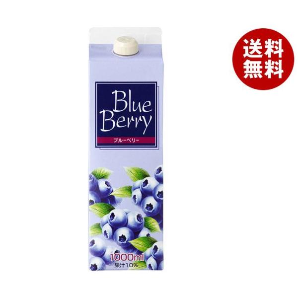 ジーエスフード GS ブルーベリードリンク 1000ml紙パック×12本入×(2ケース)｜ 送料無料...