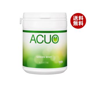 リカルデント さっぱりミントガム ボトル ( 135.2g )/ リカルデント