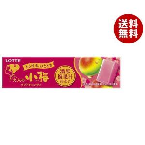 ロッテ 大人の小梅 濃厚梅果汁仕立て 10粒×10個入×