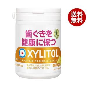 リカルデント さっぱりミントガム ボトル ( 135.2g )/ リカルデント