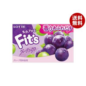 ロッテ（LOTTE） Fit's オリジナルミント 12枚×10個入｜ 送料無料