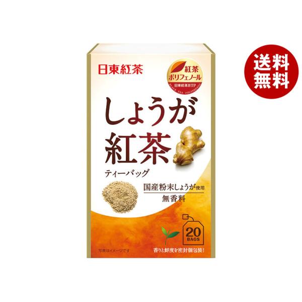 三井農林 日東紅茶 しょうが紅茶 2.2g×20袋×48袋入｜ 送料無料 紅茶 生姜