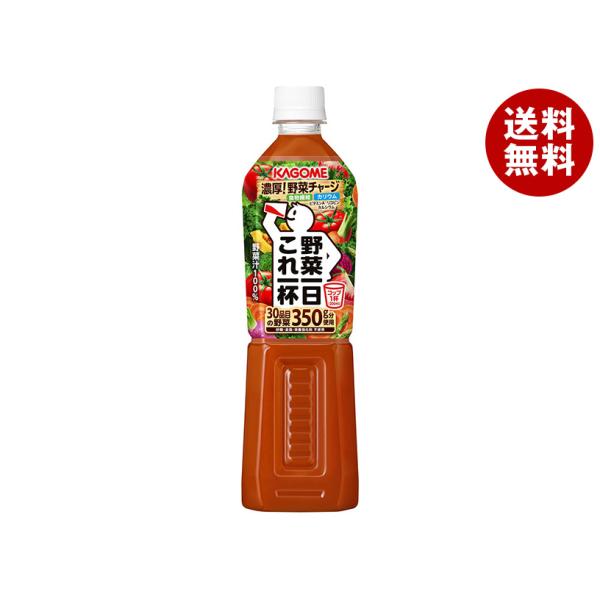 カゴメ 野菜一日これ一杯 720mlペットボトル×15本入×(2ケース)｜ 送料無料