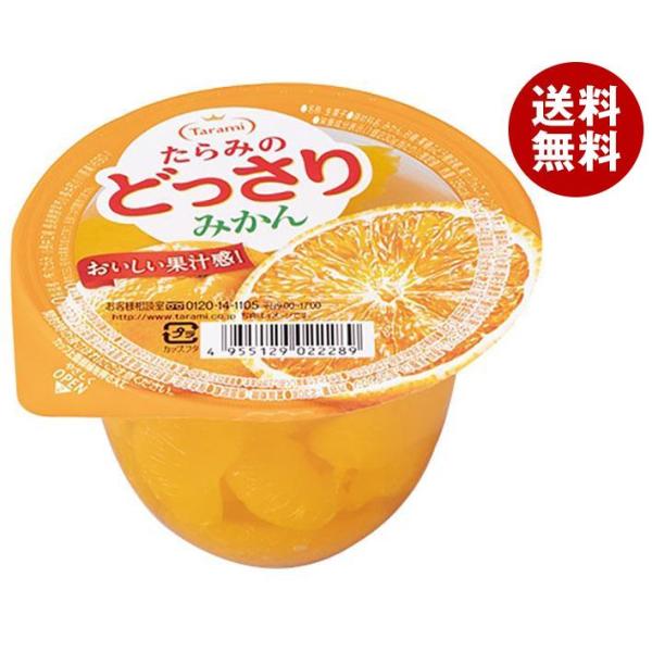 たらみ たらみのどっさり みかんゼリー 230g×24(6×4)個入×(2ケース)｜ 送料無料