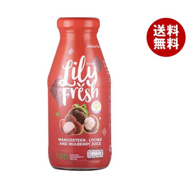 ユウキ食品 マンゴスチンミックスジュース 250ml瓶×12本入×(2ケース)｜ 送料無料 マンゴス...