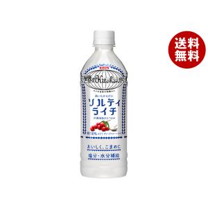 キリン 世界のKitchenから ソルティライチ【手売り用】 500mlペットボトル×24本入｜ 送料無料