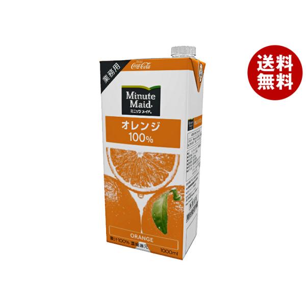 コカコーラ ミニッツメイド オレンジ100% 1L紙パック×6本入×(2ケース)｜ 送料無料