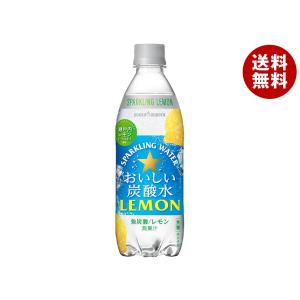 ポッカサッポロ おいしい炭酸水 レモン 500mlペットボトル×24本入×(2ケース)｜ 送料無料｜misonoya