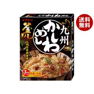 オタフク ソース イカ天ソフト1口タイプ徳用 ポリ袋500g×1ケース（全10