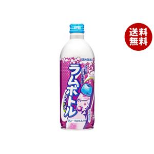 サンガリア グレープラムボトル 500gボトル缶×24本入×(2ケース)｜ 送料無料 ラムネ ソーダ サイダー 炭酸 スパークリング グレープ｜misonoya