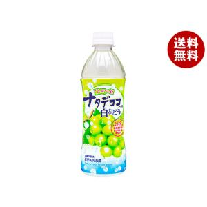 サンガリア つぶつぶナタデココ入り白ぶどう 500mlペットボトル×24本入×(2ケース)｜ 送料無...