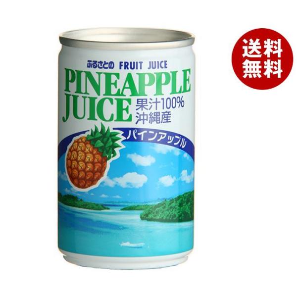 長野興農 ふるさとのパインアップルジュース 160g缶×30本入×(2ケース)｜ 送料無料