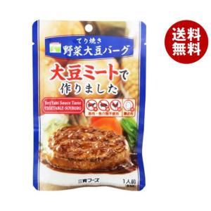 三育フーズ てり焼き野菜大豆バーグ 100g×15袋入｜ 送料無料 一般食品 大豆ミート 照り焼きハンバーグ 惣菜｜misonoya