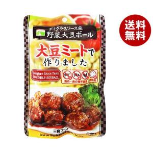 三育フーズ デミグラス風野菜大豆ボール 100g×15袋入×(2ケース)｜ 送料無料 一般食品 大豆ミートボール 惣菜｜misonoya