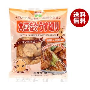 三育フーズ 大豆たんぱくうす切り 90g×15袋入×(2ケース)｜ 送料無料 一般食品 大豆 惣菜 たんぱく｜misonoya